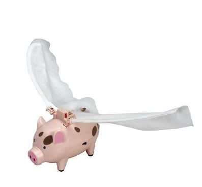 Flying pig