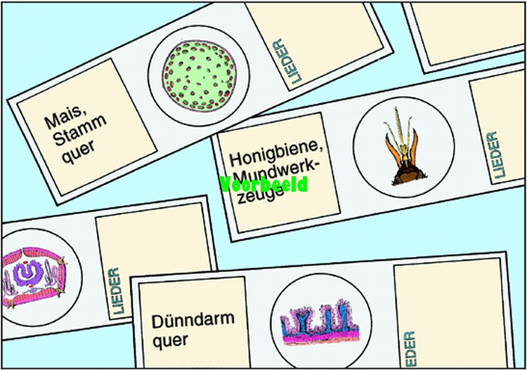 Menselijke pathologie set 1