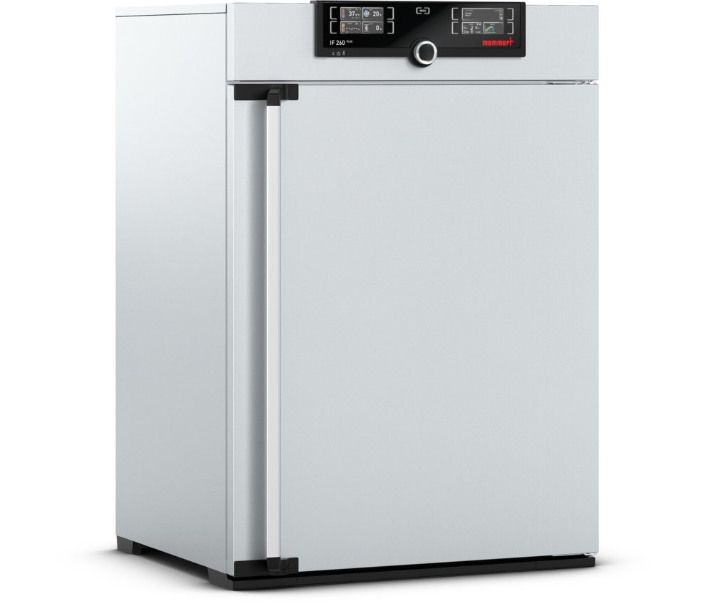 Memmert Incubator IFm260