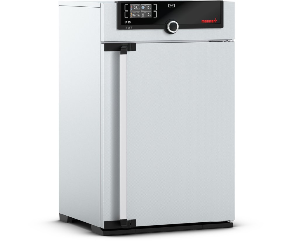 Memmert incubator IFm75